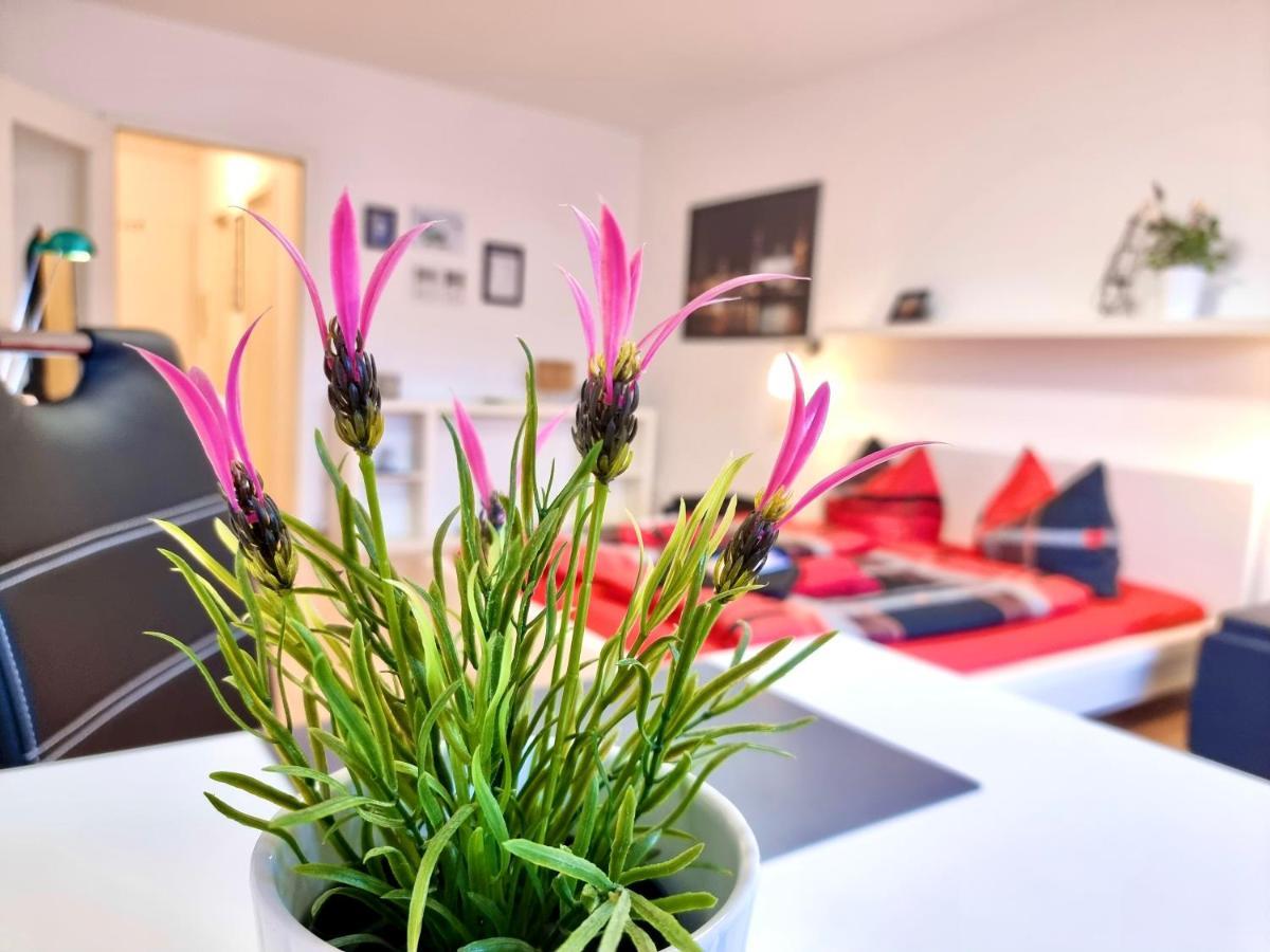 Apartment 2,4,5,6 Altstadt - Am Grossen Garten